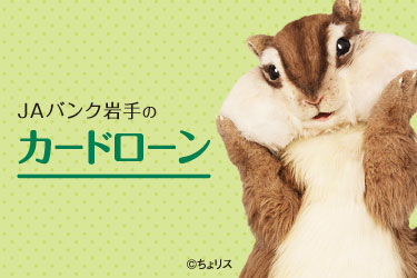 JAバンク岩手のカードローン
