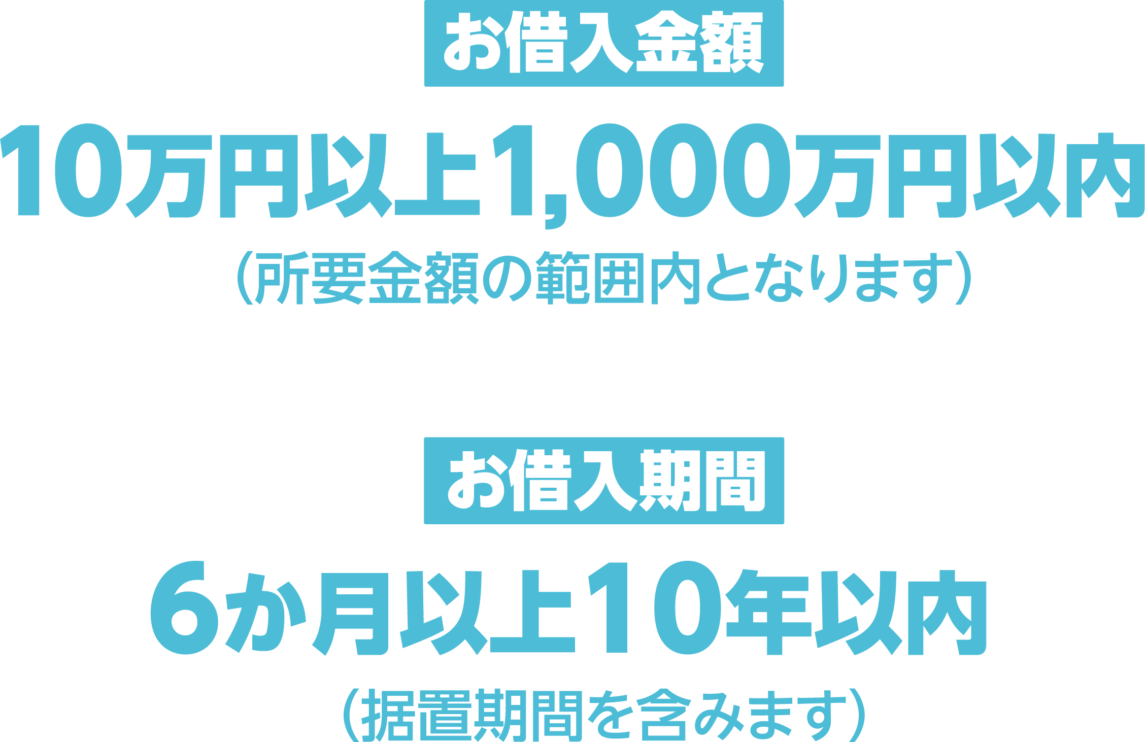 お借入金額:10万円以上1000万円以内 / お借入期間:6カ月以上10年以内
