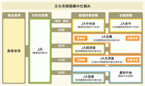 主な系統組織の仕組み