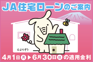 オススメ情報