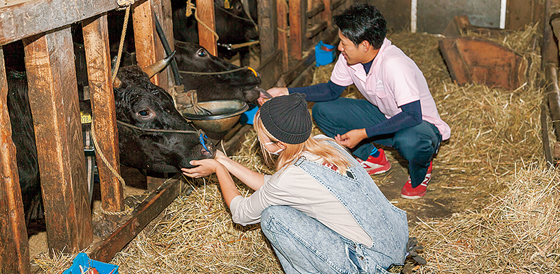 写真：「たとえ一頭だけになっても牛は飼い続けたい」と言う櫻田夫妻