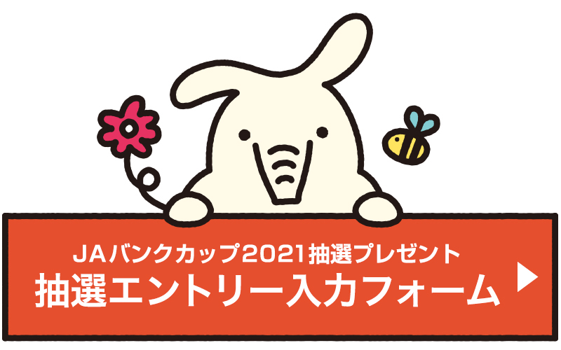 抽選エントリー入力フォーム