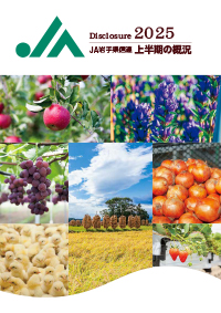 ミニディスクロージャー2025表紙