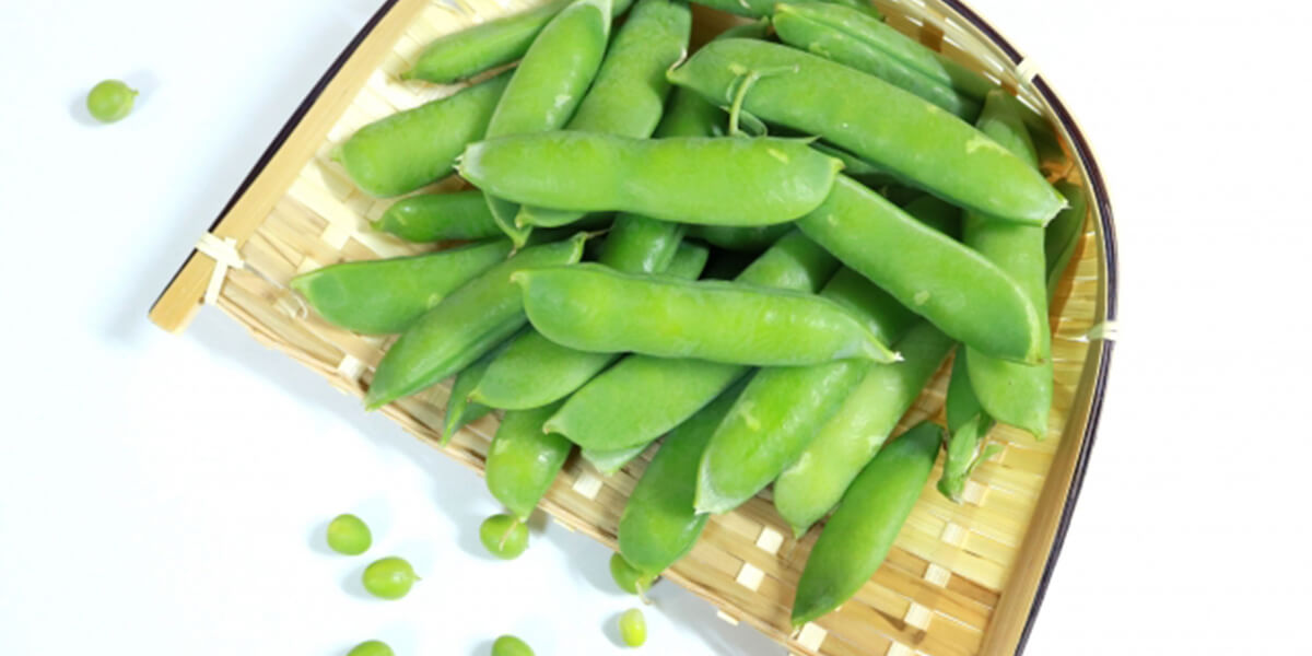 特別推進野菜のご紹介