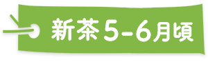 新茶5〜6月ごろ