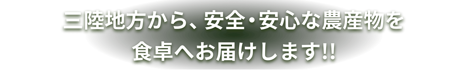 三陸地方から、安全・安心な農産物を食卓へお届けします！！