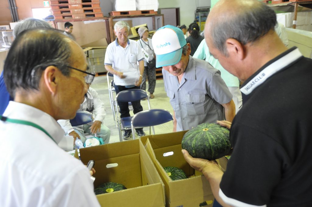 かぼちゃ出荷指導会および栽培管理指導会の様子