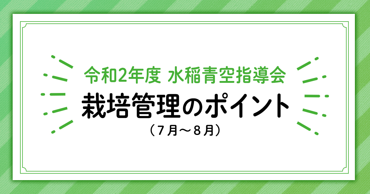 令和２年度水稲青空指導会 栽培管理のポイント ７月 ８月 営農事業 Jaおおふなと