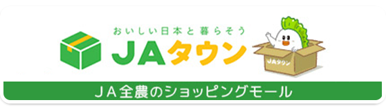 気仙小枝柿をJAタウンで購入する