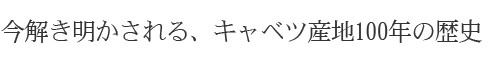 岩手とキャベツ