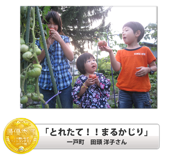 最優秀賞　高原野菜の農作業　滝沢村　菅原幸二郎さんの作品