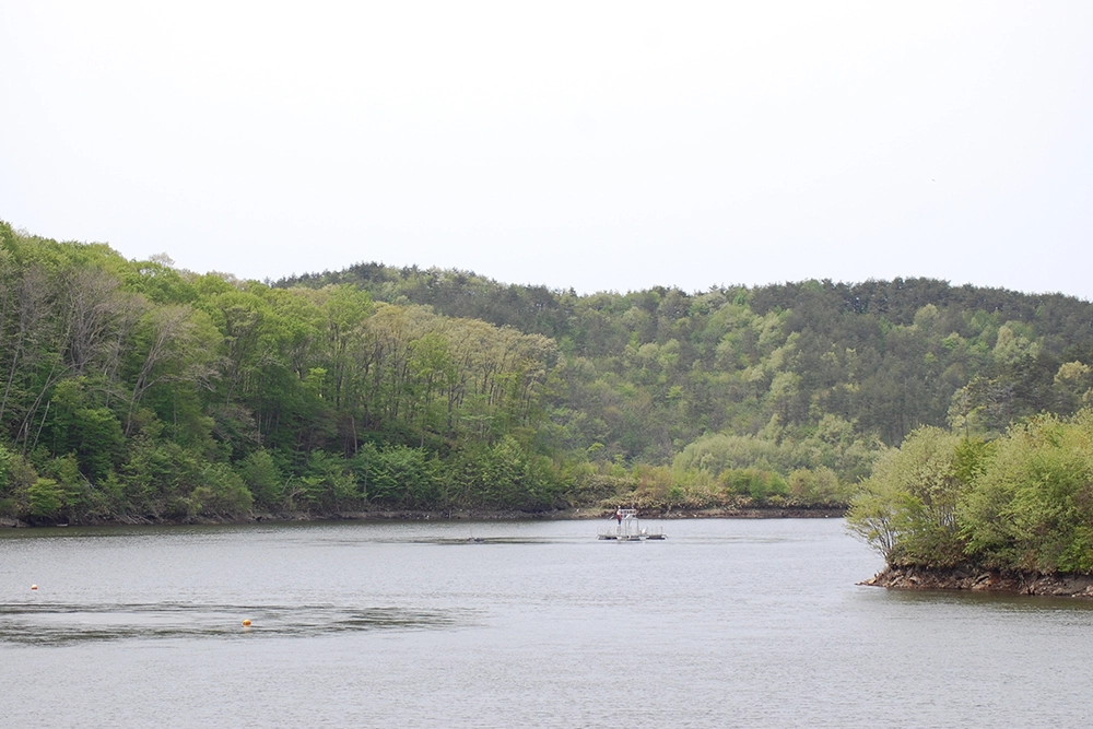 大志田ダム・奥中山高原菜魚湖(一戸町)