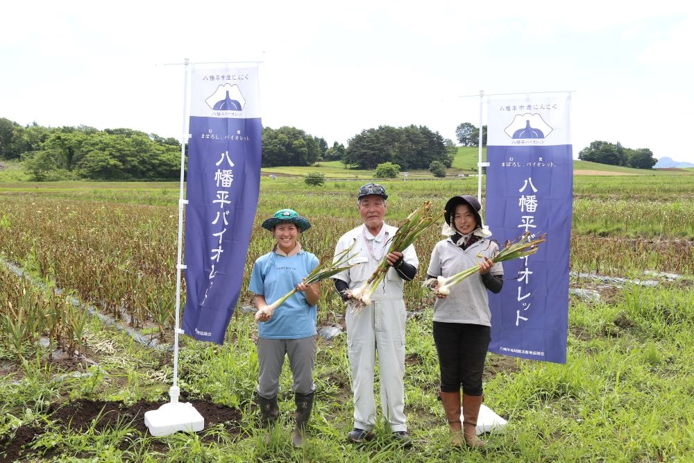 にんにくイメージ