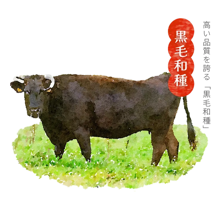 黒毛和種 平成２年にブランド化された「いわて牛」。岩手県内で生産された黒毛和牛で、肉質は高い品質を誇ります。