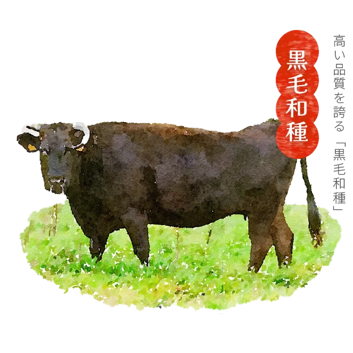 黒毛和種 平成2年にブランド化された「いわて牛」。岩手県内で生産された黒毛和牛で、肉質は高い品質を誇ります。