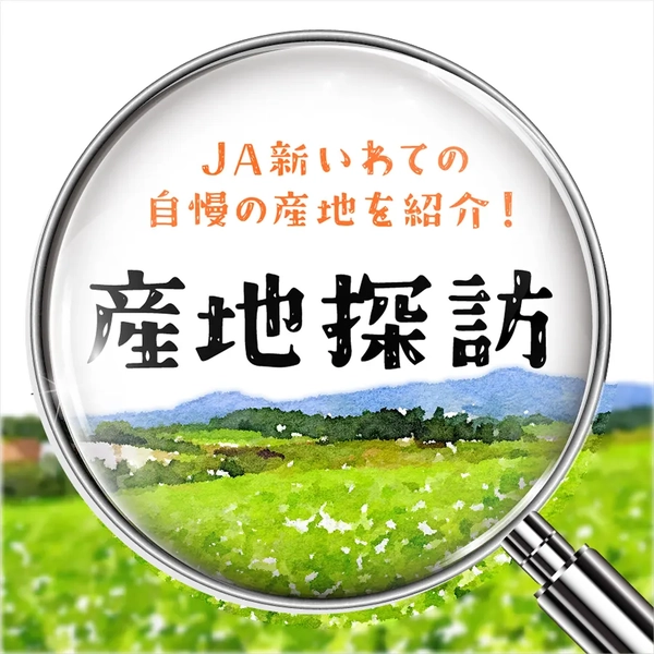 産地探訪