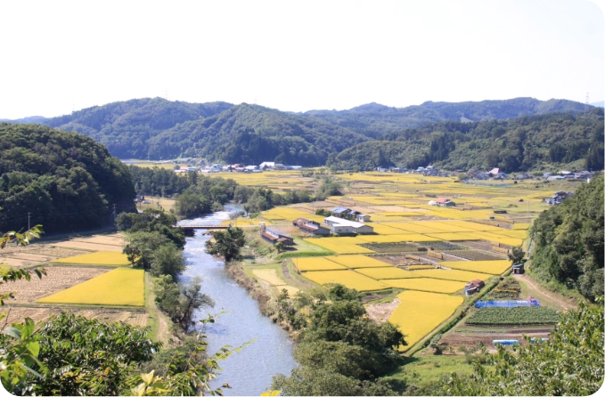 風景写真