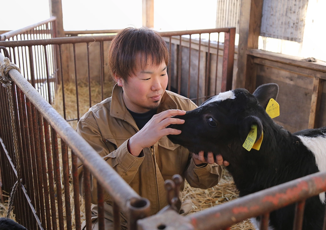 子牛を撫でる山屋さん