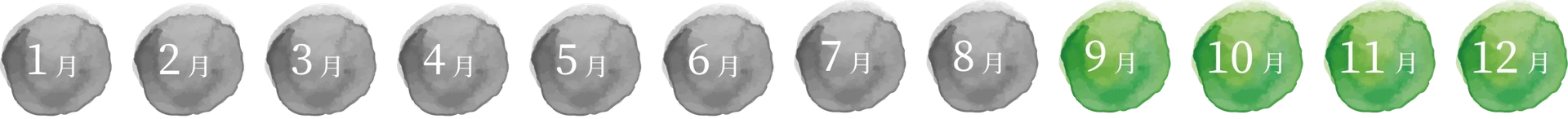 出荷時期は9月〜12月