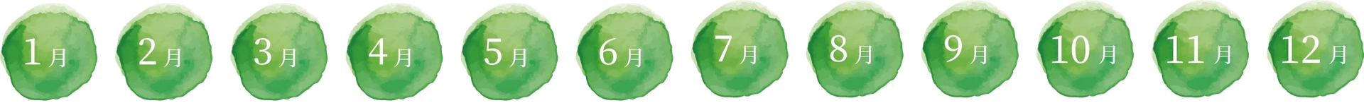 おすすめの時期は通年