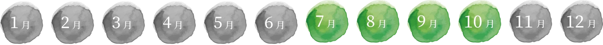 おすすめの時期は7月〜10月