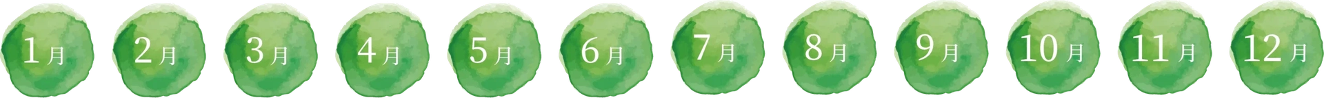 出荷時期:通年