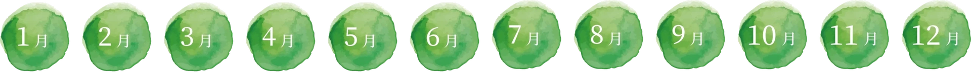出荷時期:通年