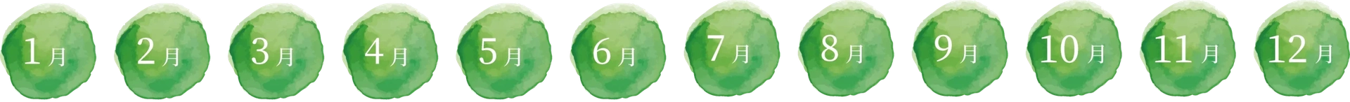 出荷時期:通年