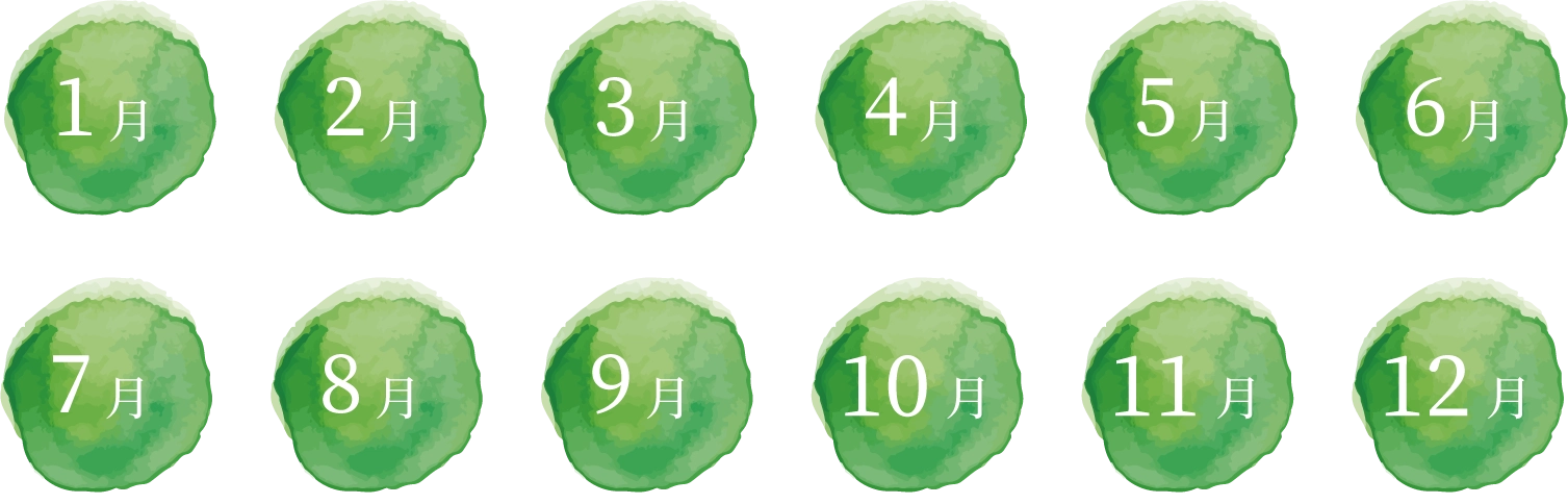 出荷時期:通年
