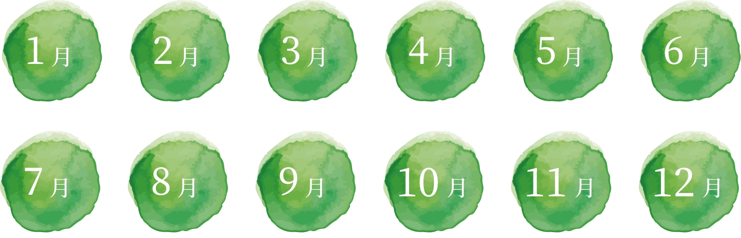 出荷時期:通年