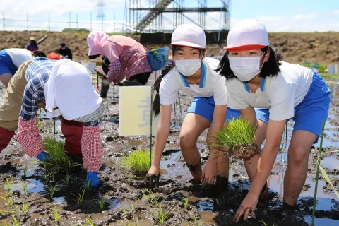 田んぼアート田植えに挑戦　岩手町立一方井小学校