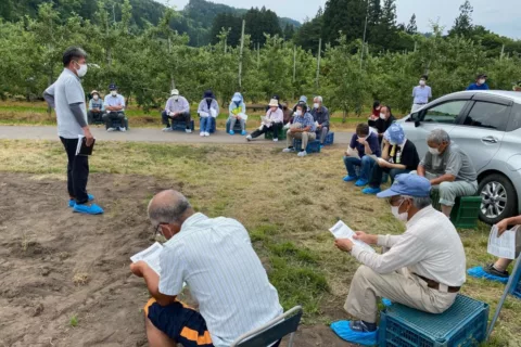 定植後の管理を確認　露地キュウリ栽培管理指導会