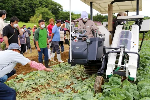 キャベツ産地の維持拡大へ　収穫機の実演会開く