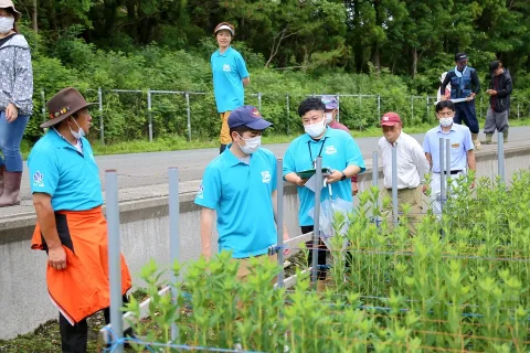 リンドウ一斉圃場巡回で生育確認