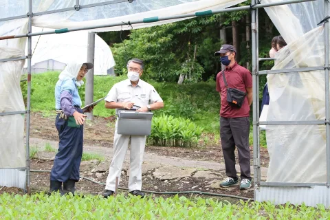 産地リーディングサポーター始動　ホウレンソウ、菌床シイタケ巡回指導