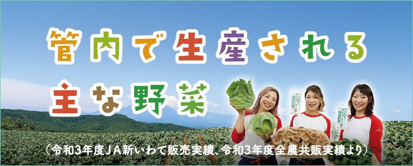 管内で生産される主な野菜