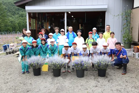 日本一のリンドウ産地で小学生らが収穫体験　ブランド「安代りんどう」の理解深める