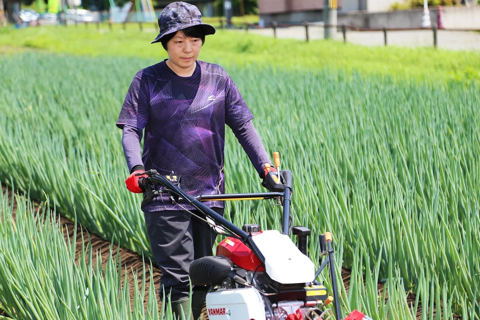 田鎖憲幸さんが玉ねぎの出荷準備をする様子写真