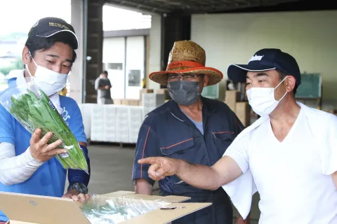 ホウレンソウ良品出荷を　集荷場で品質検査