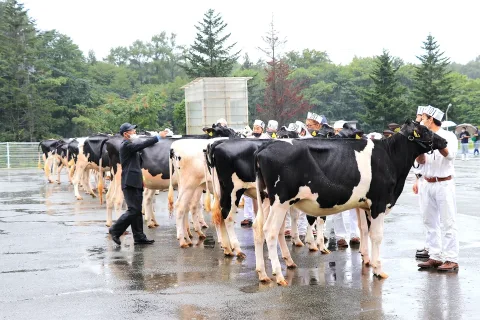 ＪＡ管内の生産者が名誉賞を受賞　第６６回岩手県畜産共進会