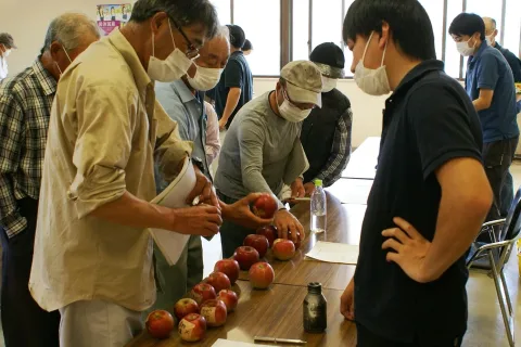 収穫遅れに注意　紅いわて出荷規格指導会