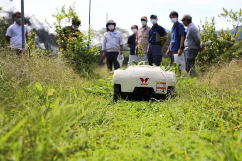 果樹園地の草刈作業の省力化へ　自動ロボット草刈機実演会