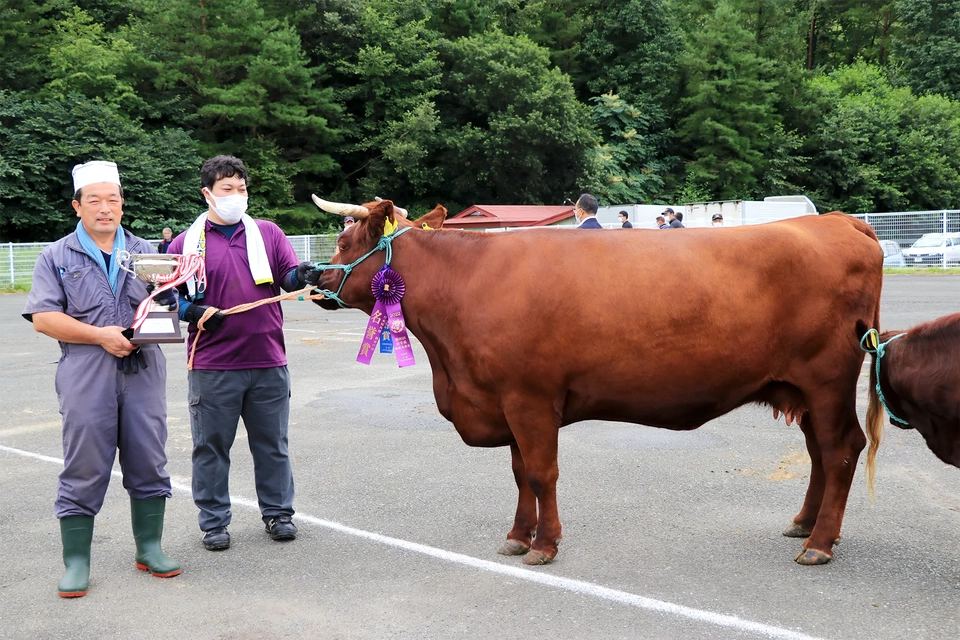 畠山利勝さん出品牛「はな」の写真