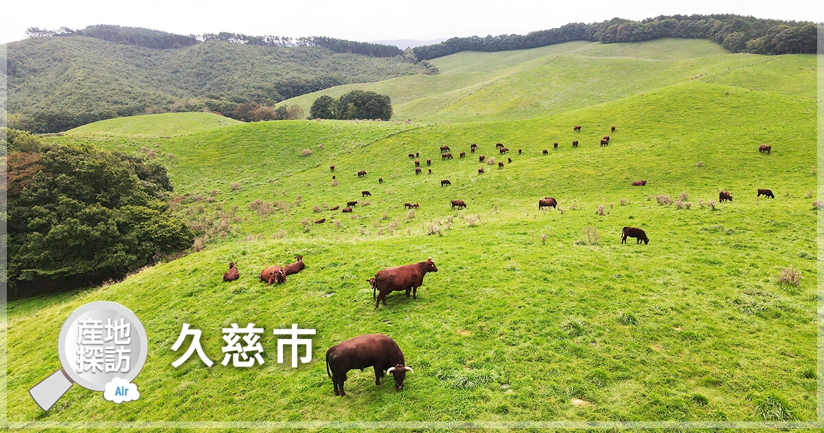 産地探訪Air 久慈市「山形村短角牛」
