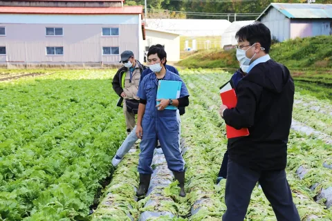 グローバルＧＡＰ団体認証の更新審査　新たに３農場が追加