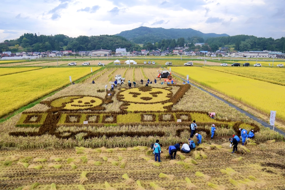 田んぼアートの全体写真