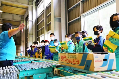 リンドウ集出荷施設　小学生が見学