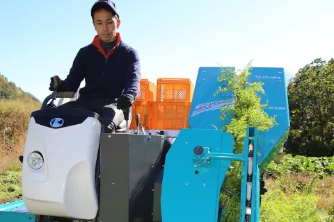 野菜の長期出荷で所得向上へ　秋冬ニンジン出荷始まる