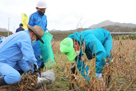 児童らが大豆の収穫・脱穀を体験　「ゆたか農産やまだ」が農業体験実施