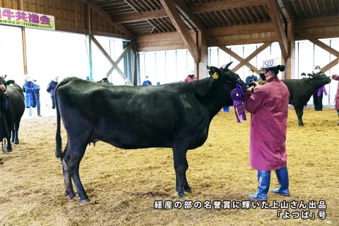 名誉賞に上山さんら　第12回葛巻町和牛共進会